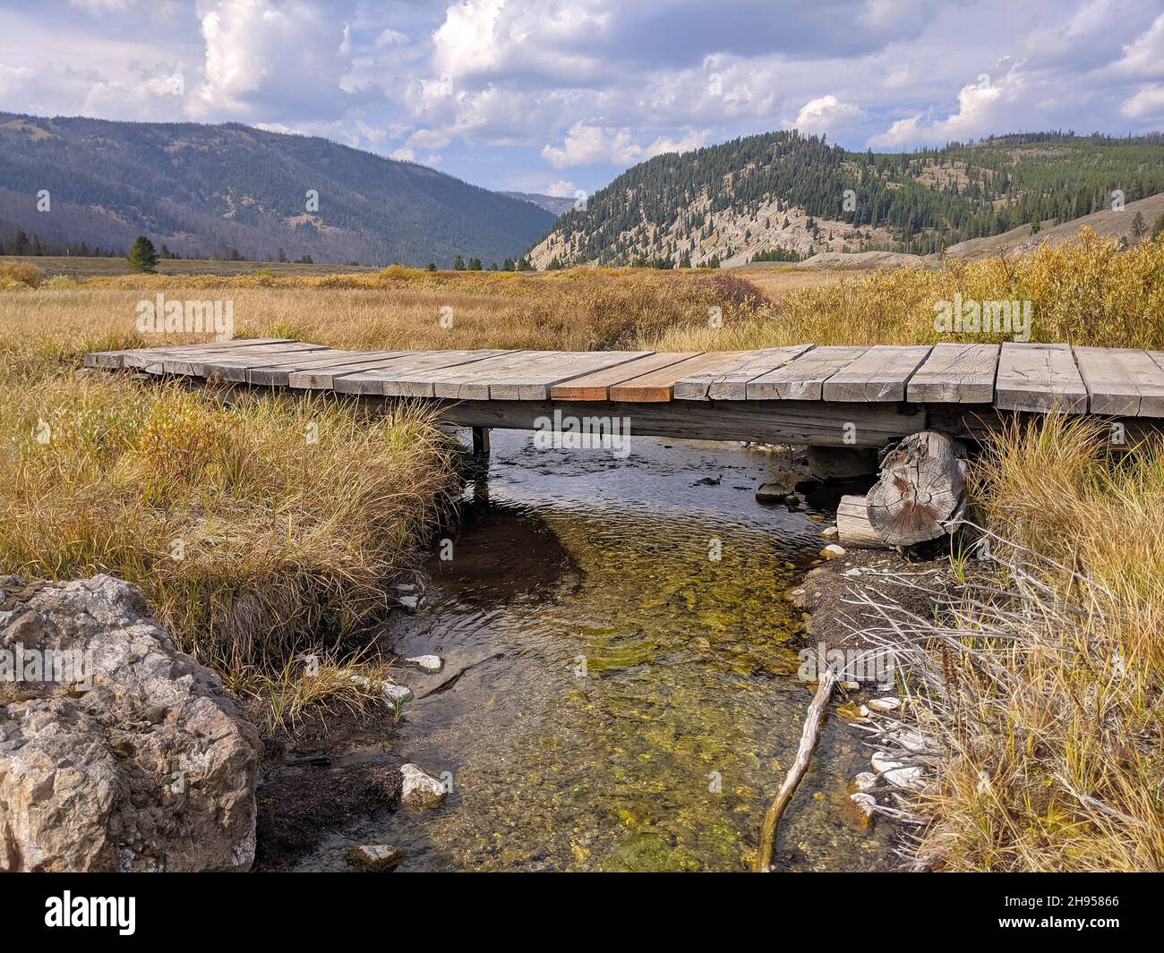 Eine hölzerne Fußgängerbrücke überspannt die Ufer eines Baches in einem breiten, grasbewachsenen Bergtal Stockfoto