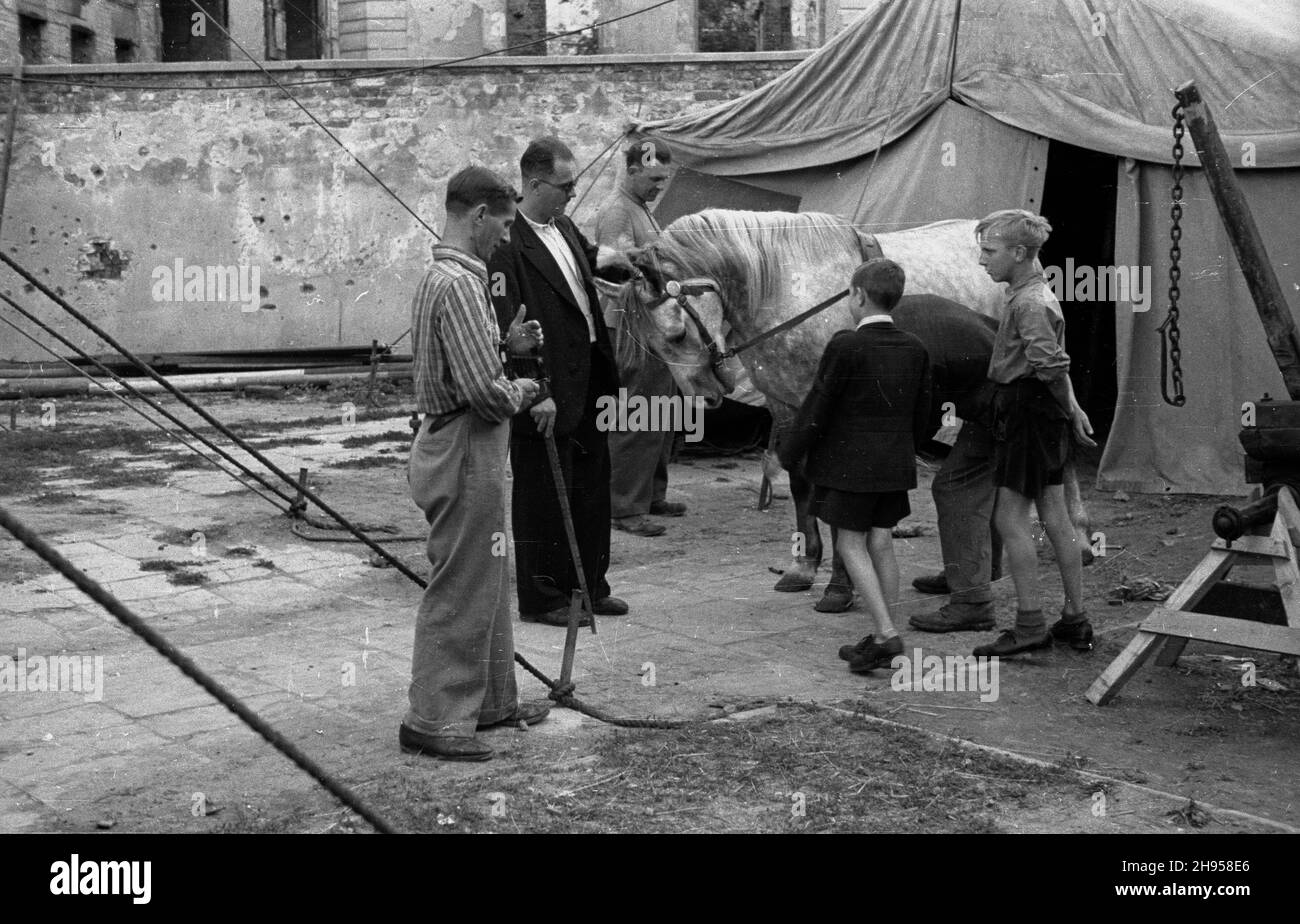 Warszawa, 1947-07-27. Cyrk nr 3 na placu przy ulicy Mokotowskiej, Róg Polnej. NZ. konik cyrkowy przygotowywany do wystêpu. wb/gr PAP Warschau, 27. Juli 1947. Circus-Nr. 3 auf einem Platz in der Nähe der Ecke der Mokotowska und Polna Straßen. Im Bild: Ein Zirkuspony für die Arena vorbereitet. wb/gr PAP Stockfoto