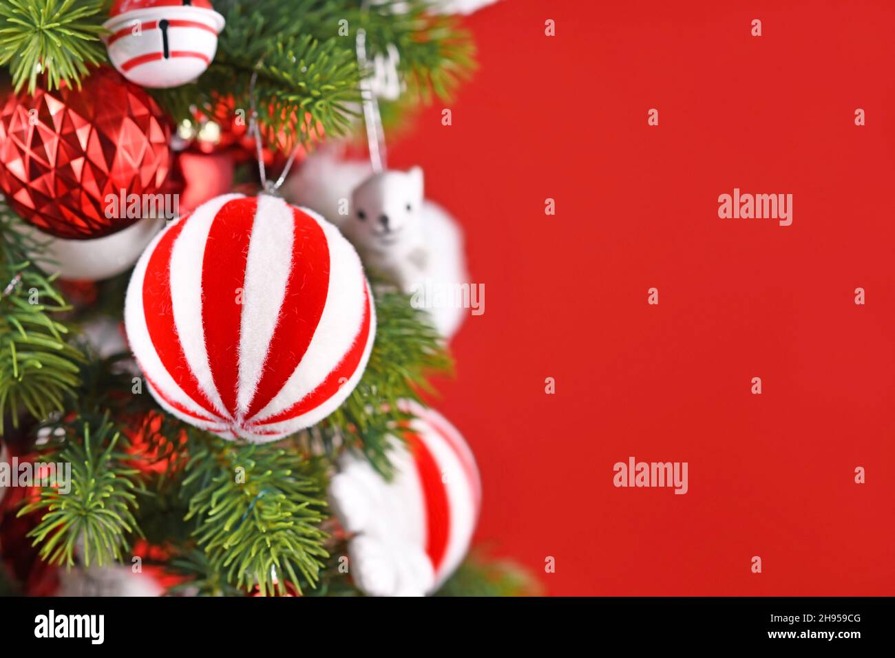 Gestreifte Weihnachtskugel, die am Baumzweig vor rotem Hintergrund mit Kopierraum hängt Stockfoto
