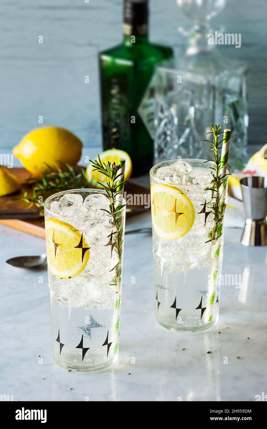 Rosemary Lemon Gin Fizz Cocktailgetränke über Eis auf Marmorplatte mit Zutaten Stockfoto