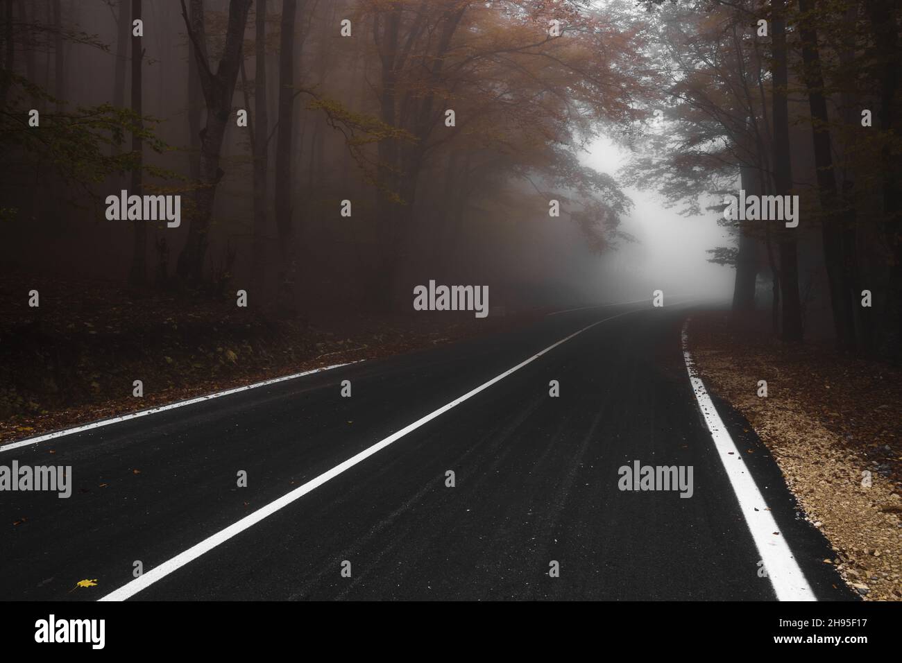 Dunst nebel nebel landschaft mit geringer sicht -Fotos und