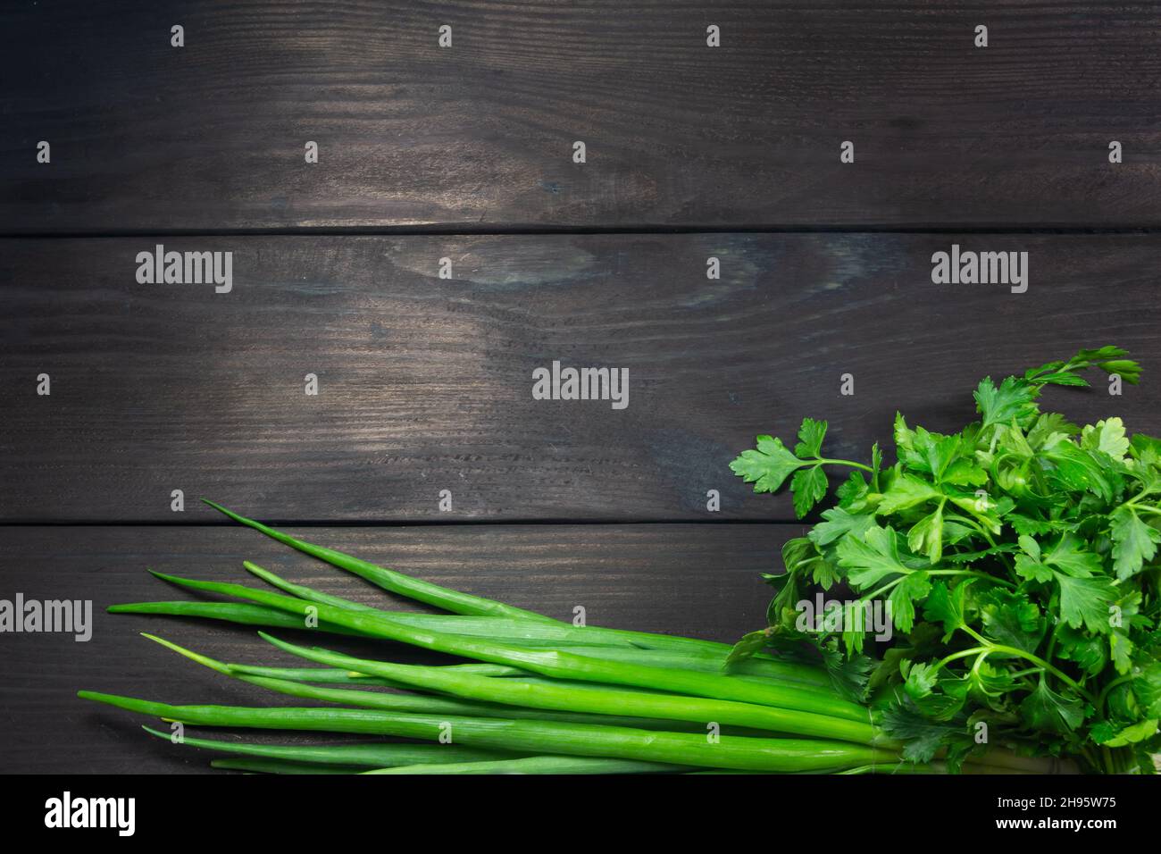 Frische Gartenkräuter auf dunklem Holzhintergrund mit Platz für Text. Draufsicht. Konzept der gesunden, vegetarischen, Diät-Lebensmittel. Stockfoto