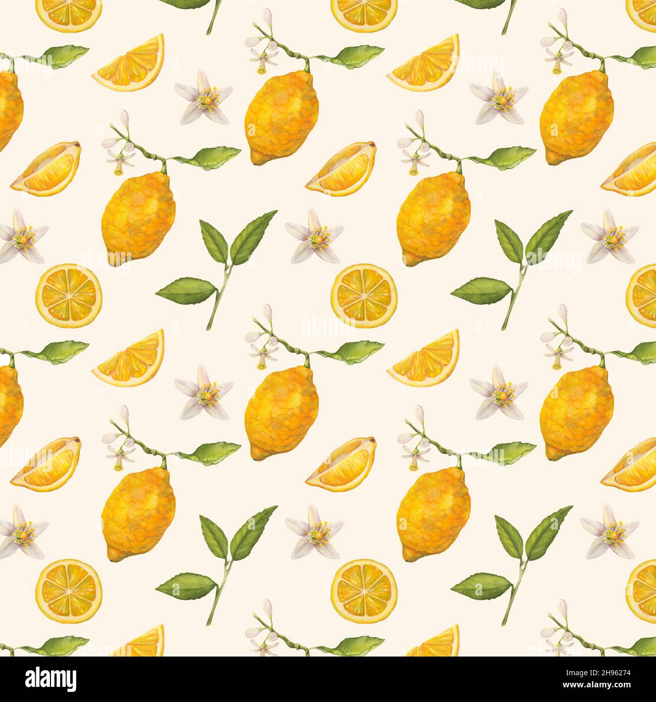 Zitronen Aquarell Nahtloses Muster. Botanische Tapete Stockfoto