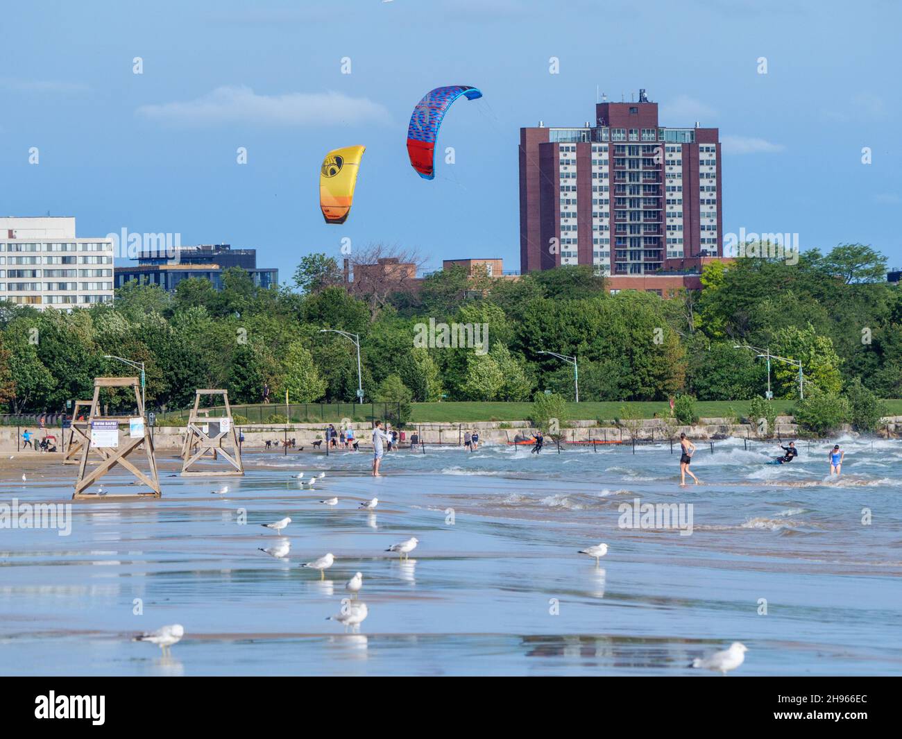 Montrose Beach, Chicago, Illinois. Kitesurfer, Badegäste und Möwen. Stockfoto
