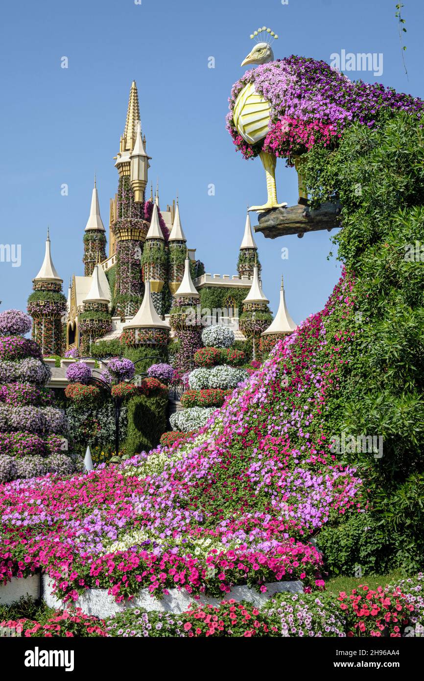 Ein blütenhafter Pfau blickt auf das Märchenschloss im Dubai Miracle Garden Stockfoto Ein blütenhafter Pfau blickt auf das Märchenschloss im Dubai Miracle Garden Stockfoto