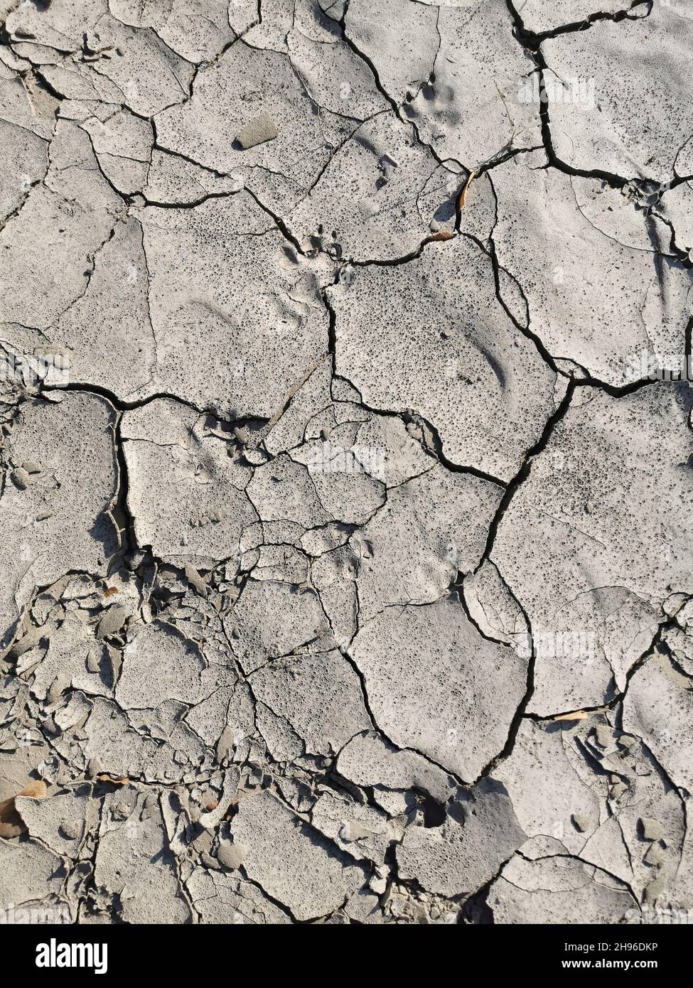 Nahaufnahme von gerissenen Böden in der Trockenzeit. Rissige Erde Hintergrundstruktur. Abstrakte Textur für den Hintergrund. Stockfoto