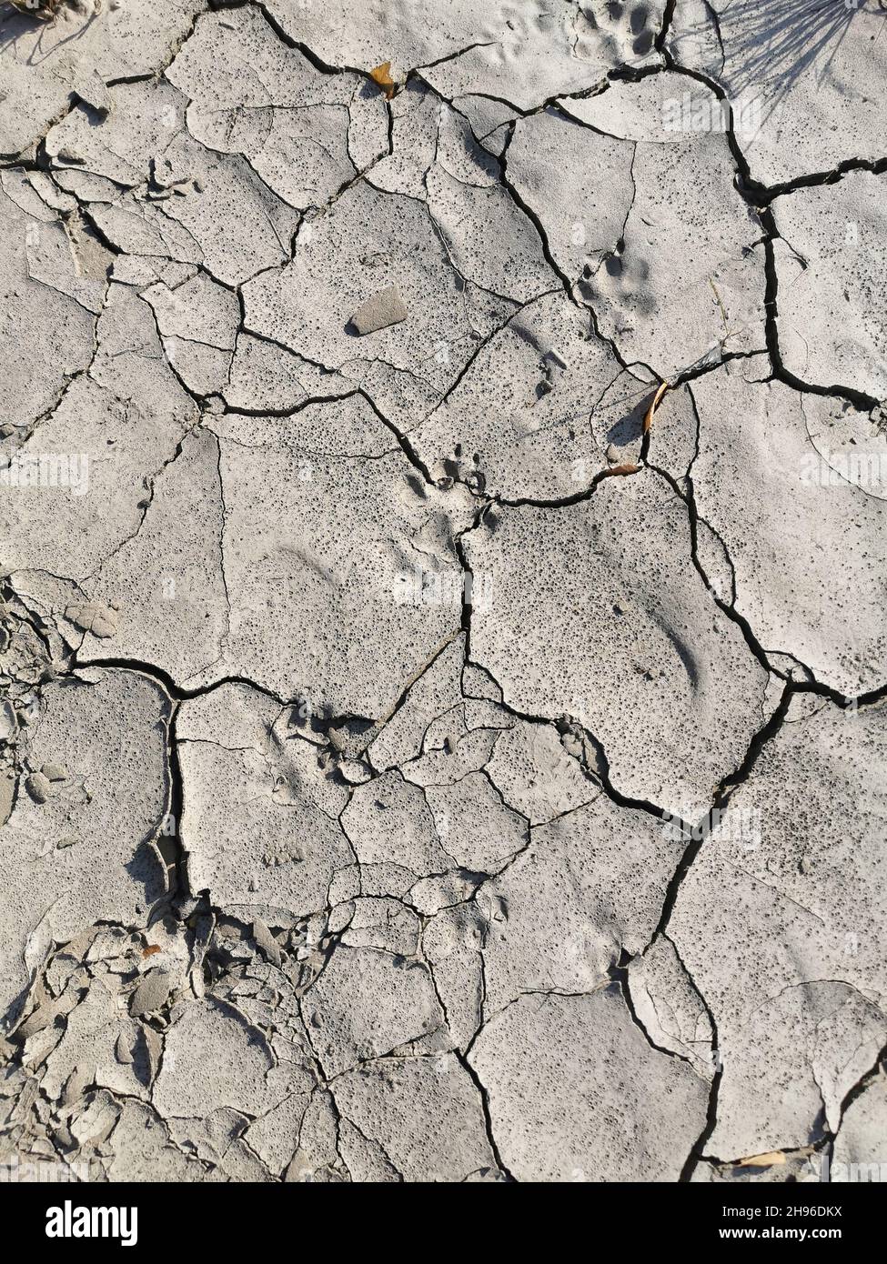 Nahaufnahme von gerissenen Böden in der Trockenzeit. Rissige Erde Hintergrundstruktur. Abstrakte Textur für den Hintergrund. Stockfoto