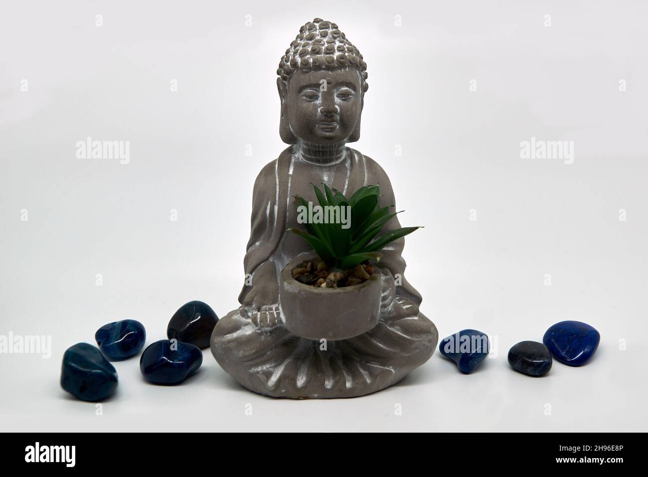 Ein kleiner grauer Buddha mit einer Sukulente, umgeben von sieben blauen Halbedelsteinen. Einer der Steine ist wahrscheinlich ein Lapis Lazuli. Weißer Hintergrund. Stockfoto