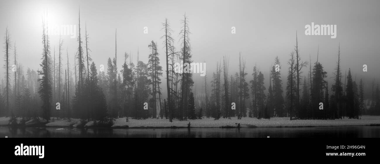 Graustufenlandschaft in Wyoming, Yellowstone Nationalpark Stockfoto