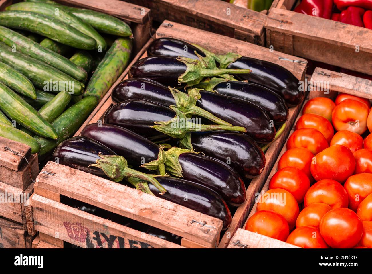 Schublade mit Auberginen in einer Greengrocery. Stockfoto