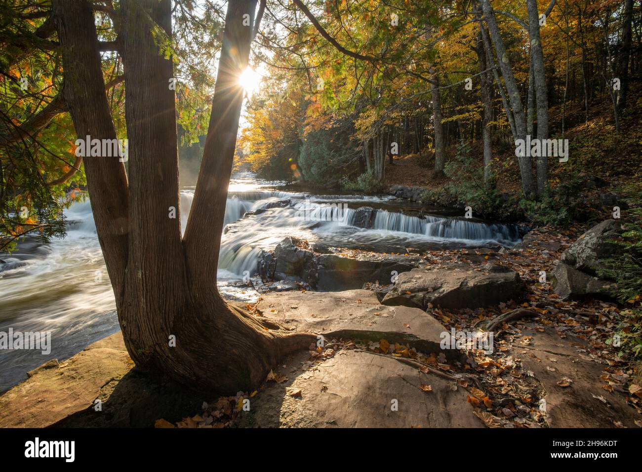 Bond Falls, Herbst, Upper Peninsula, Michigan, USA, Von Dominique Braud/Dembinsky Photo Assoc Stockfoto