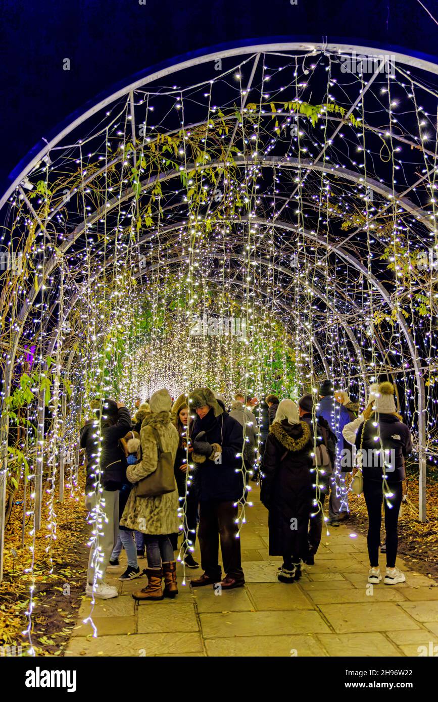 Bogen mit funkelnden Lichtern bei Glow 2021, der jährlichen Weihnachtsbeleuchtungsveranstaltung im RHS Garden, Wisley, Woking, Surrey Stockfoto