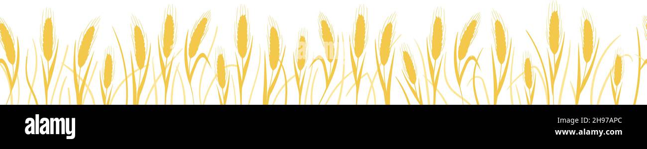 Von Hand gezeichnete Ähren aus Weizen, Gerste, Getreide. Schwarz-Weiß-Vektor realistische Skizze Weizenohr, ganze Hafer. Illustration der landwirtschaftlichen Pflanze, Gerste und Roggen Ernte, Ernte Getreide, Mehlproduktion Stock Vektor