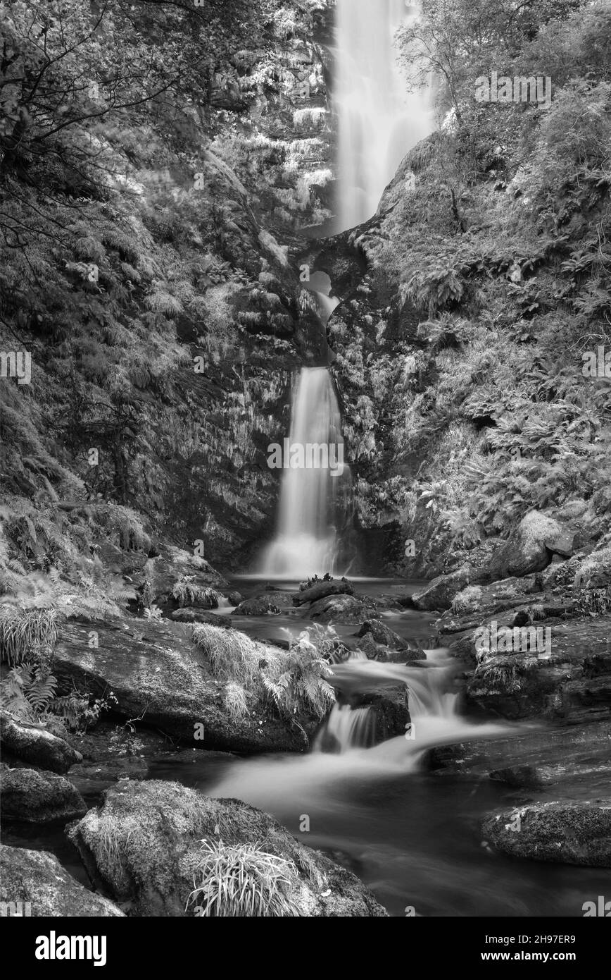 Schwarz und Weiß wunderschöne Landschaft mit langer Belichtung im Frühherbst Bild des Pistyll Rhaeader Wasserfalls in Wales, dem höchsten Wasserfall in Großbritannien Stockfoto