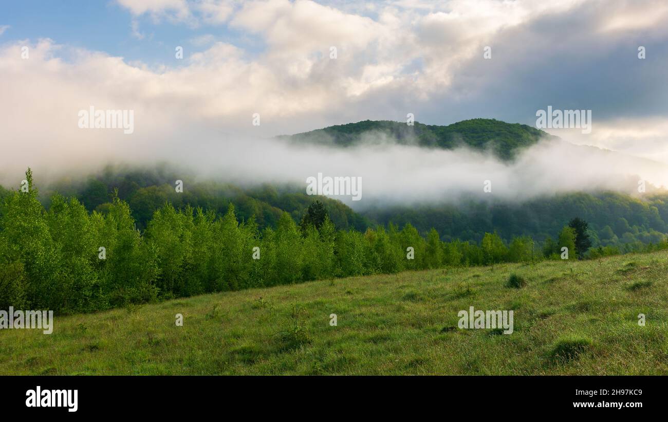 Bergige Landschaft an einem nebligen Morgen. Outdoor grüne Umgebung im Frühjahr. Wald auf dem Hügel in Nebel und Wolken. Schöne Landschaft von Stockfoto