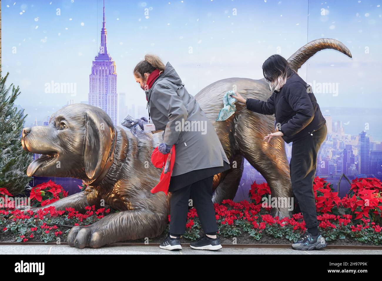 Die Statue von Clifford the Big Red Dog am Leicester Square in London wird gereinigt, bevor Jack Whitehall sie im Vorfeld einer Sondervorführung für den neuen Film enthüllt, der auf der gleichnamigen Kinderbuchreihe basiert. Bilddatum: Sonntag, 5. Dezember 2021. Stockfoto