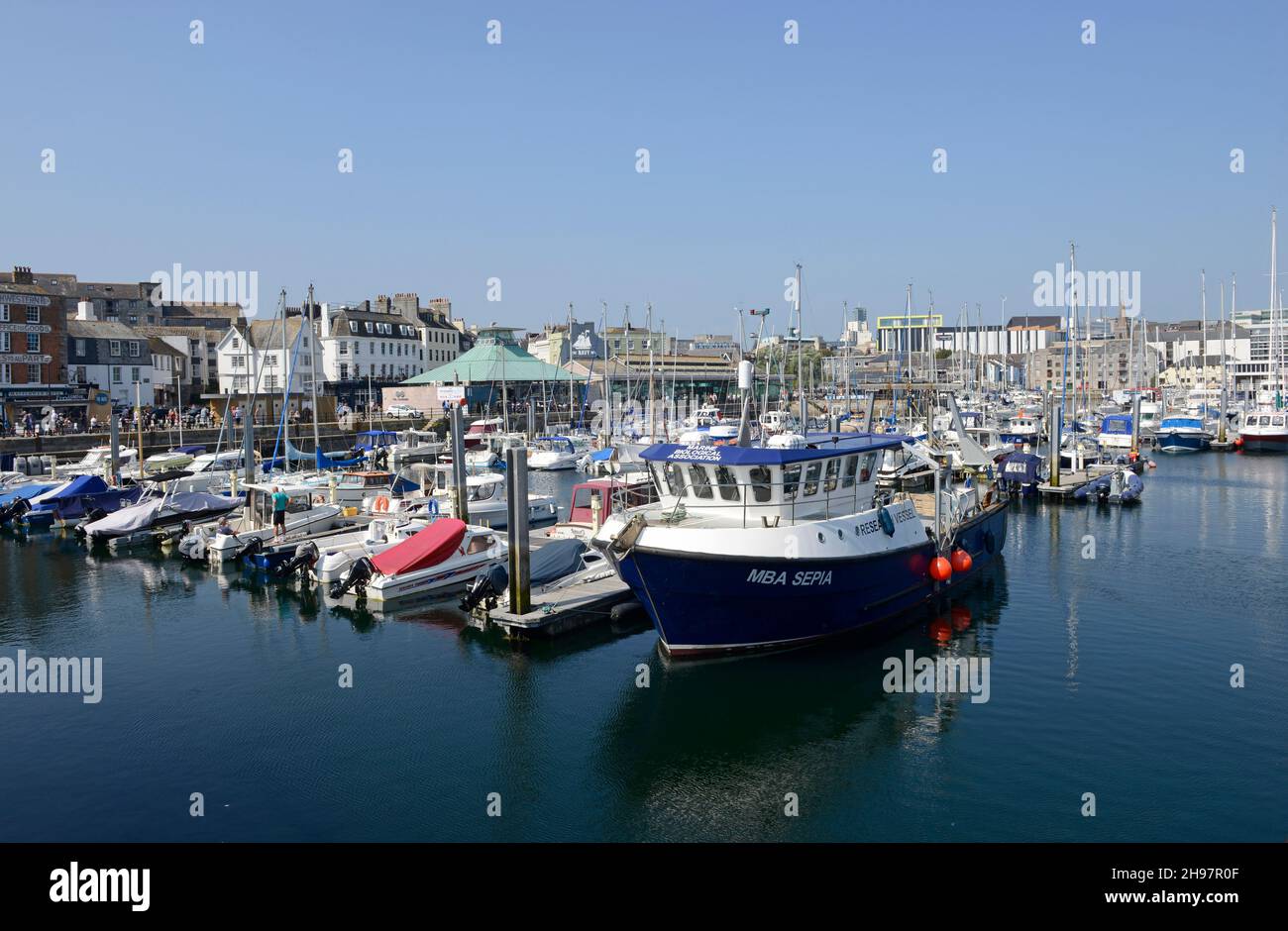 Viele kleine Boote, darunter das Forschungsschiff Sepia der Marine Biological Association, vertäuten an einem sonnigen Tag im Hafen von Plymouth. Stockfoto