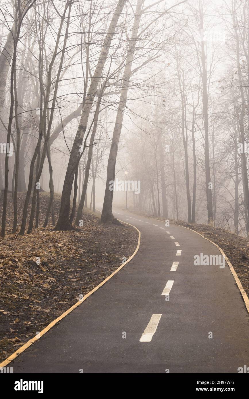 Dichter Nebel auf dem Radweg mit einer scharfen Kurve. Fahrbahnmarkierungen. Konzeptfotografie. Stockfoto