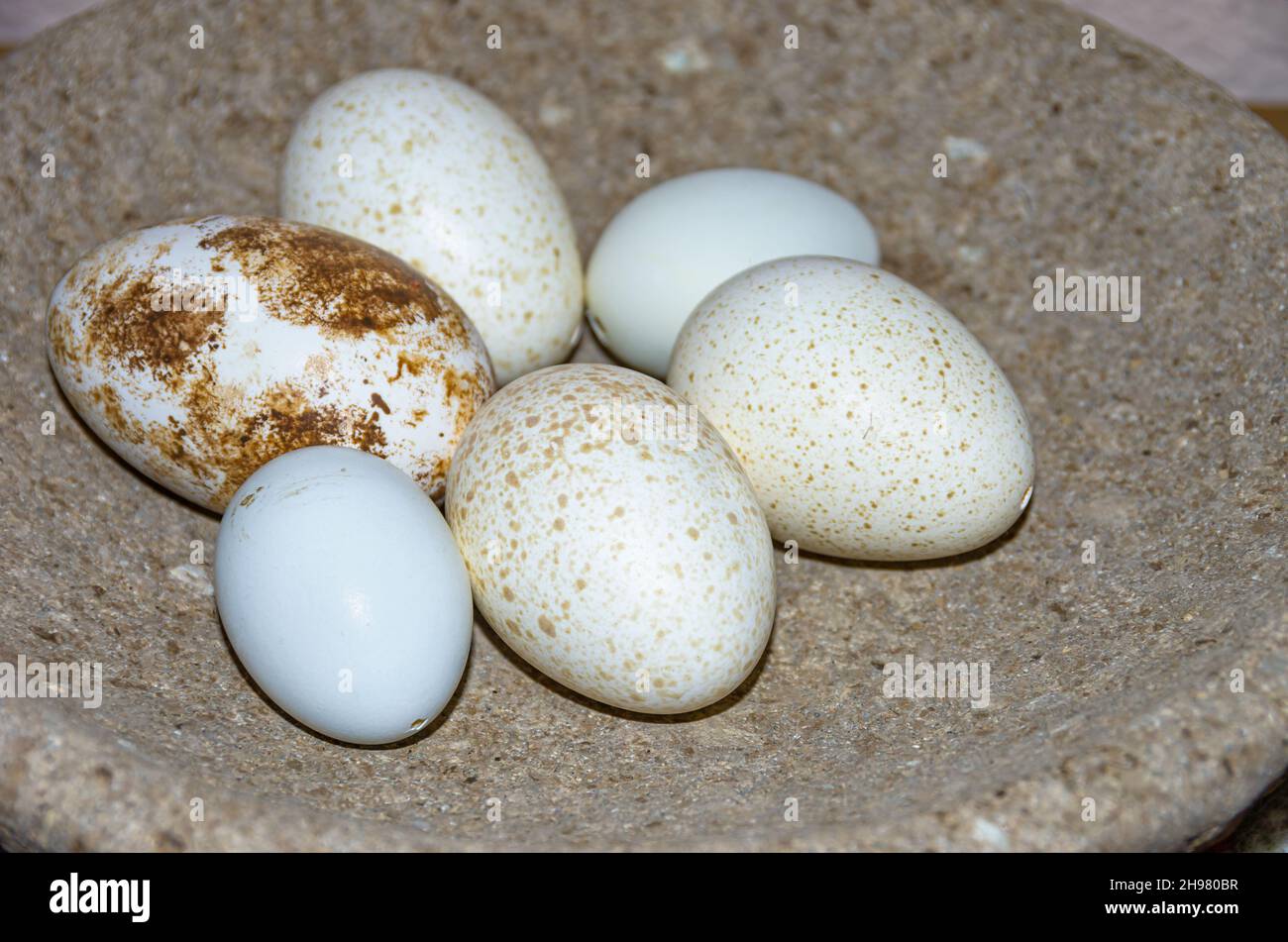 Gesprenkelte und ausgeblasene Eier als Osterdekoration in einer Steinschale. Stockfoto
