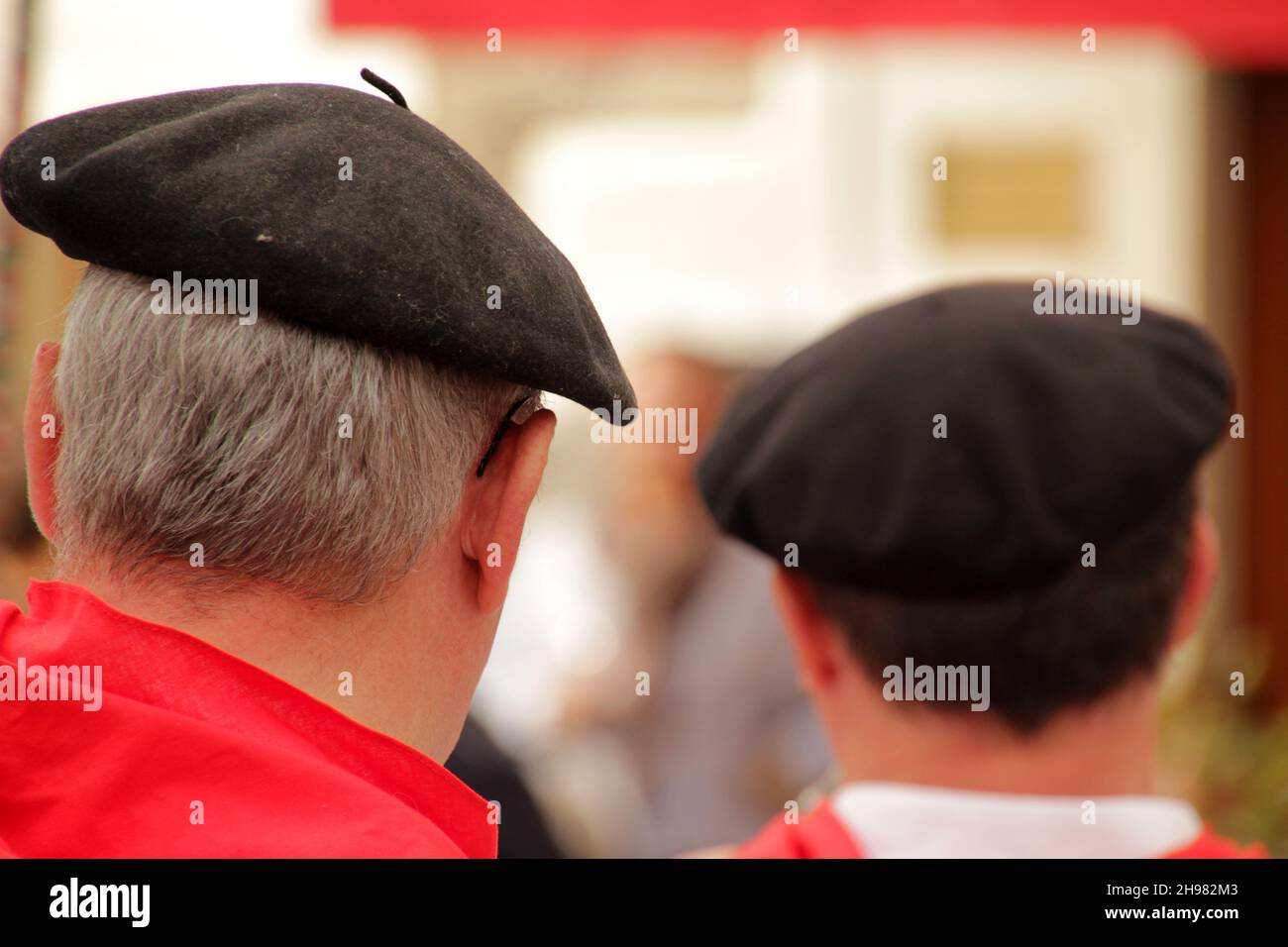 Eine Rückansicht von zwei Rüden in Baskenland Stockfoto