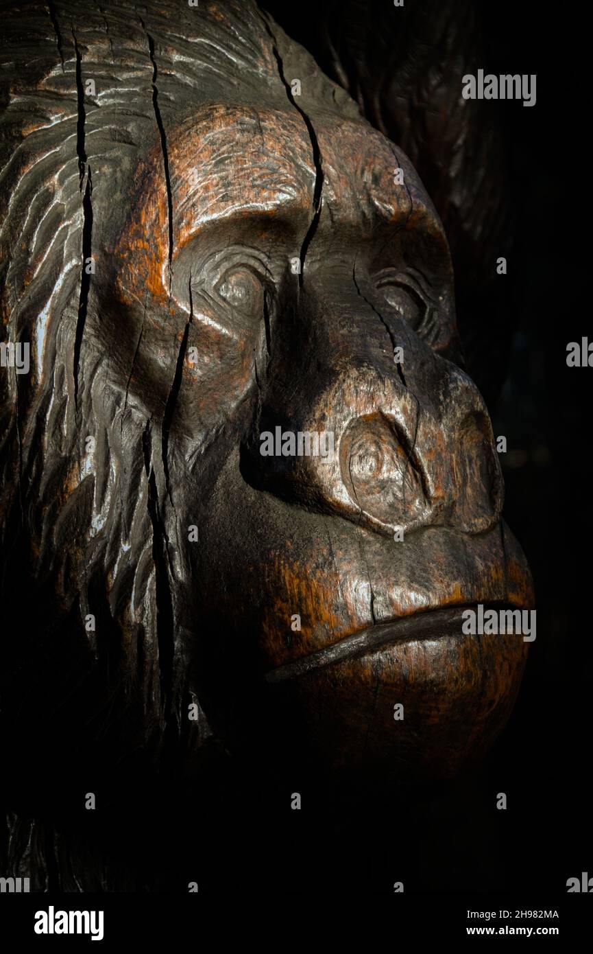 Geschnitzte Holzskulptur des Kopfes Eines Berggorillas, Großbritannien Stockfoto