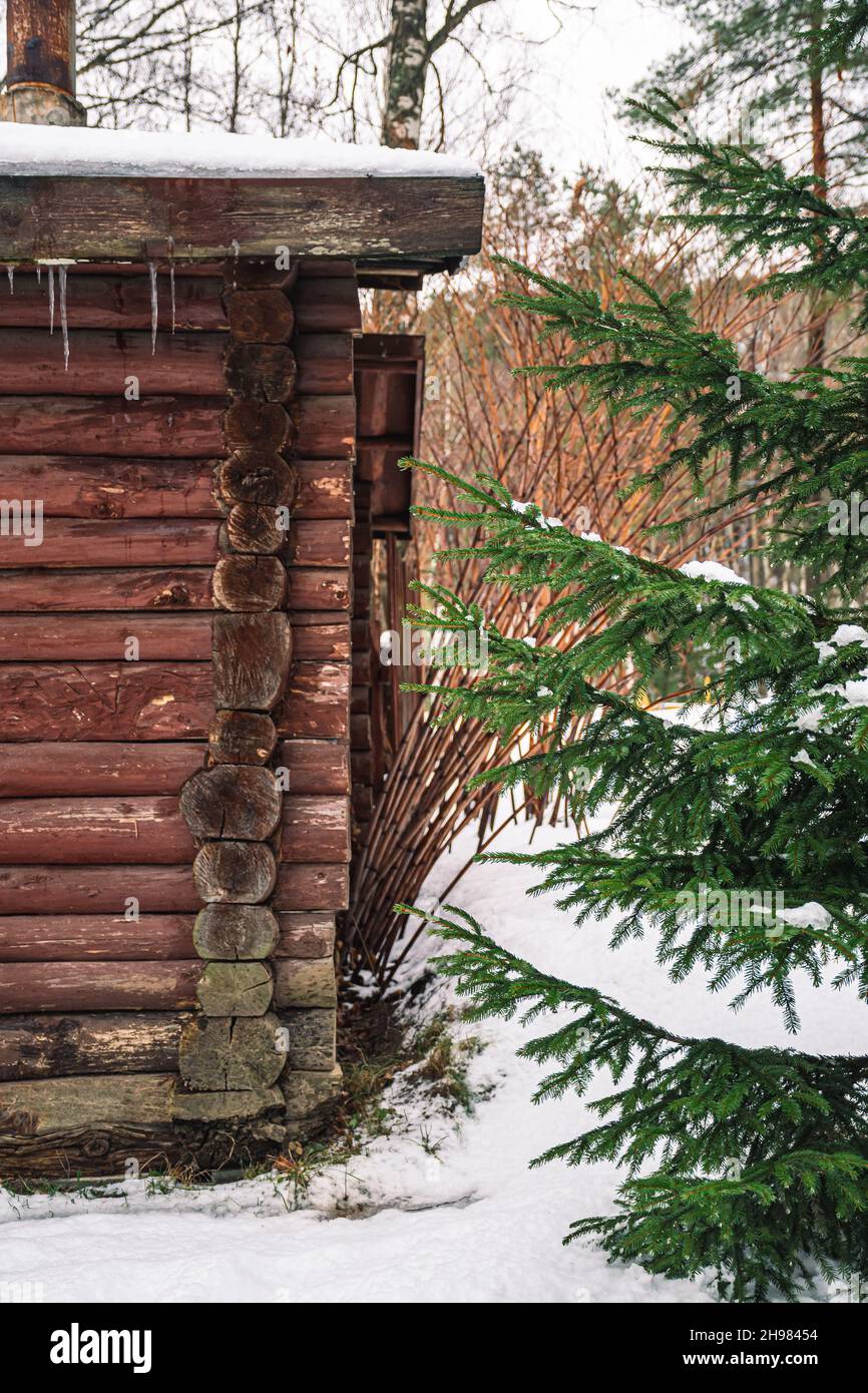 Winter Eiszapfen hängen von einem Dach eines alten Holzhauses im Wald mit Schnee und Tannen Hintergrund, vertikal Stockfoto