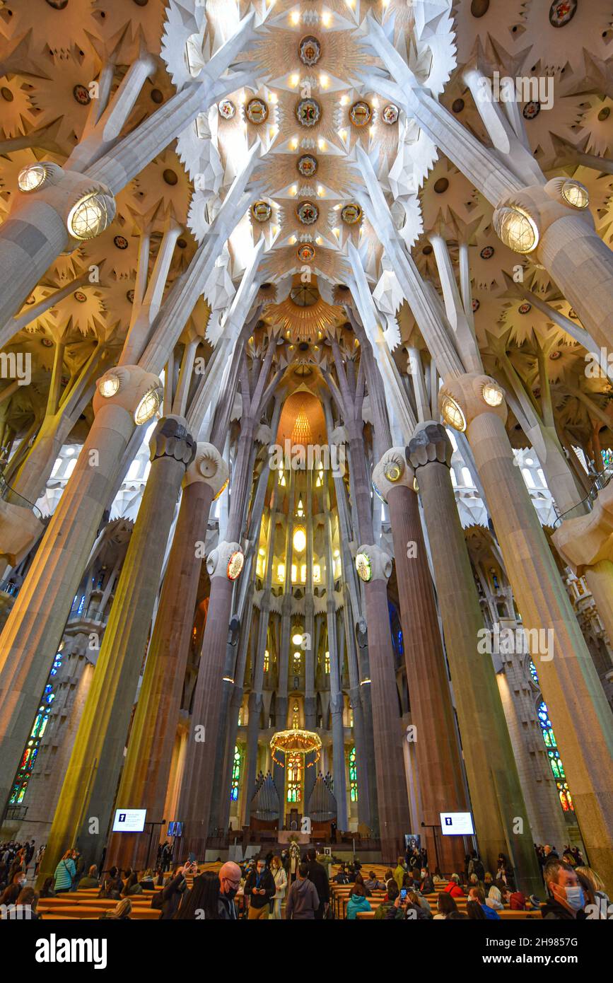 Barcelona, Spanien - 22 Nov, 2021: Innendecke der Basilika Sagrada Familia, Barcelona, Katalonien, Spanien Stockfoto