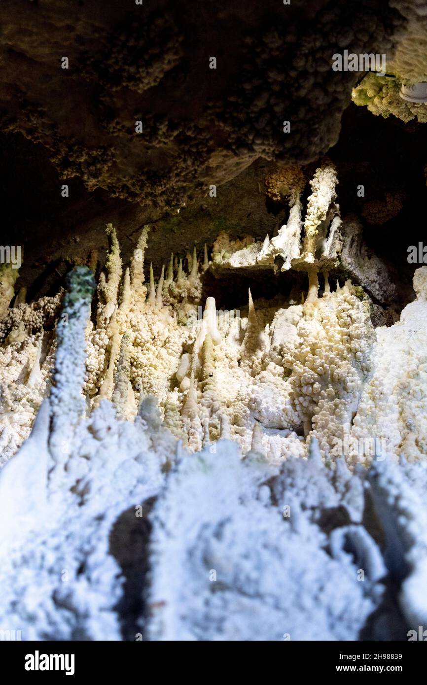 Cuevas de Genova Génova (Höhlen) in Genua in der Nähe von Palma, Mallorca, Spanien Stockfoto