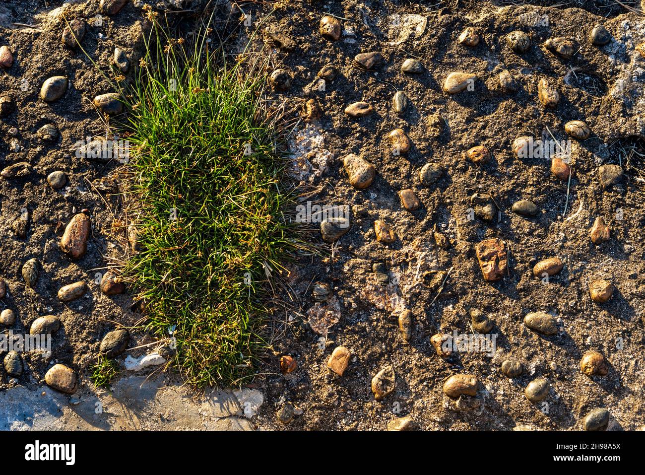 Nahaufnahme Textur von Steinen mit Zement platziert. Salvador, Bahia, Brasilien. Stockfoto