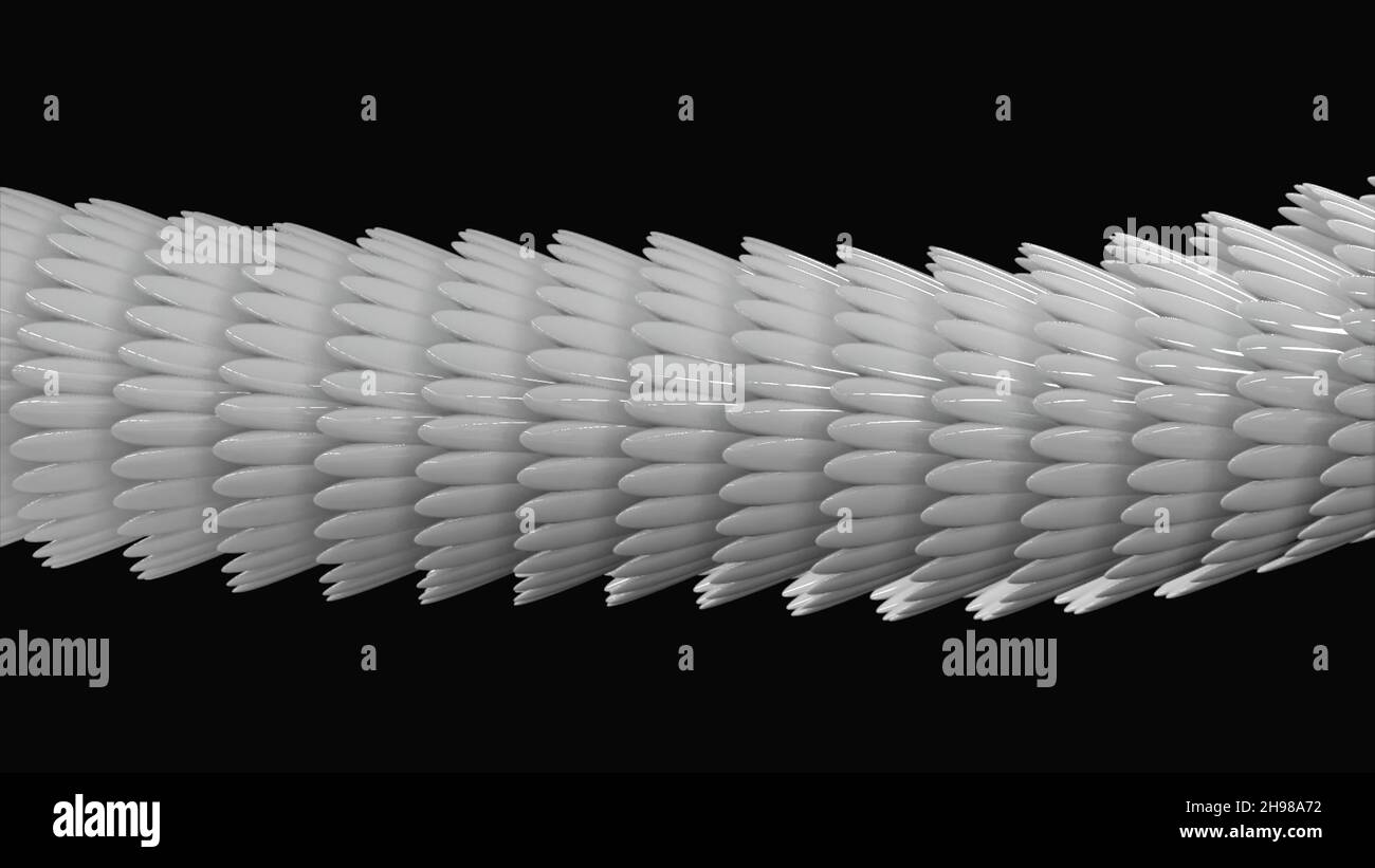 Abstrakte Schwarz-Weiß-Animation von 3D glänzenden Schlangen- oder Drachenschuppen, die sich auf dem schwarzen Hintergrund sanft bewegen. Schillernde glänzende Schuppen Stockfoto