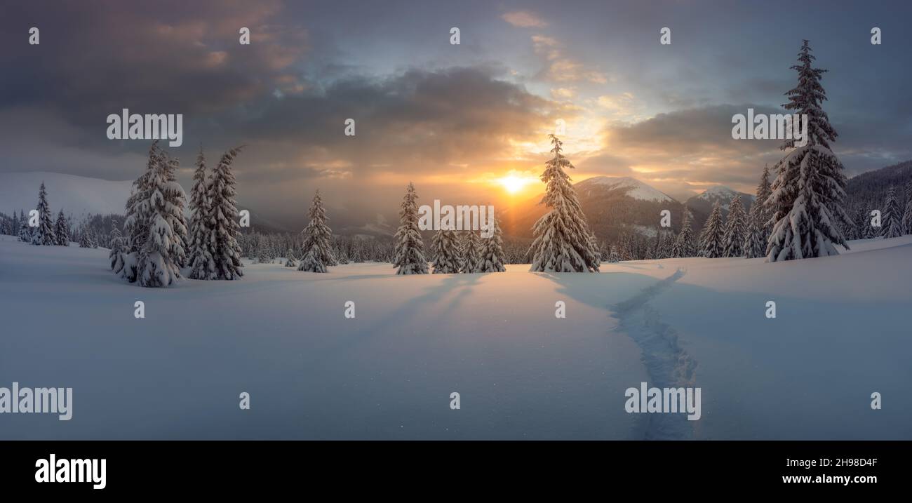 Fantastisches Winterlandschaftspanorama in verschneiten Bergen, die durch Abendsonne glühen. Dramatische winterliche Szene mit gefrorenen verschneiten Bäumen bei Sonnenuntergang. Weihnachtsfeiertage Hintergrund Stockfoto