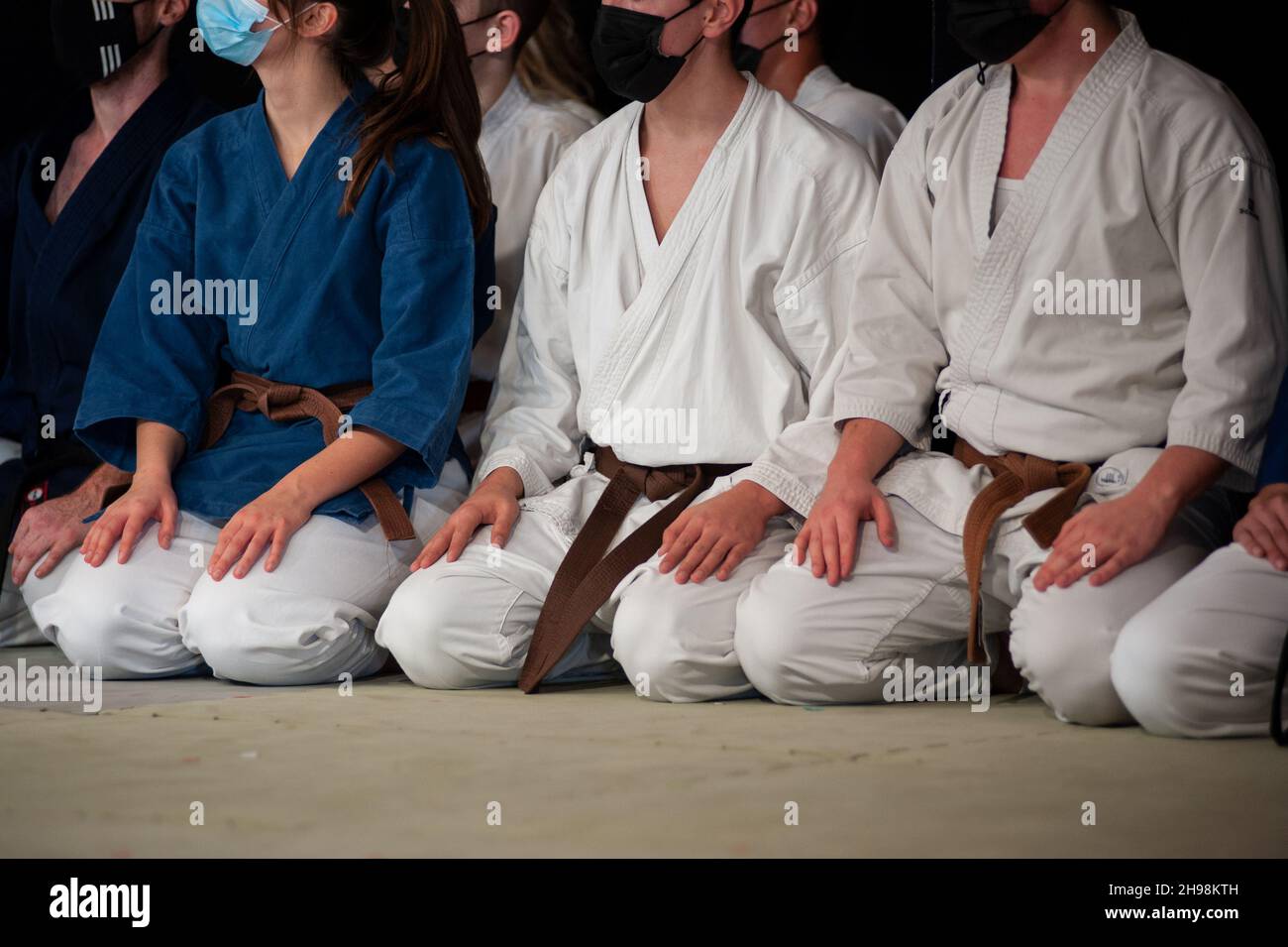 Sportler von Karate (brauner Gürtel) knieten in Seiza-Position. Stockfoto