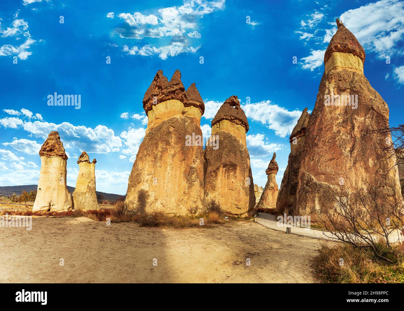 Malerische Landschaft aus geformten Sandsteinfelsen. Berühmte Feenkamine oder Steinpilze im Pasaba Valley bei Goreme. Beliebte Reisedesti Stockfoto
