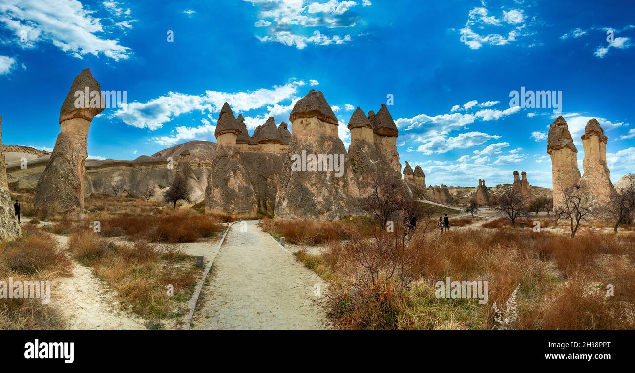 Malerische Landschaft aus geformten Sandsteinfelsen. Berühmte Feenkamine oder Steinpilze im Pasaba Valley bei Goreme. Beliebte Reisedesti Stockfoto