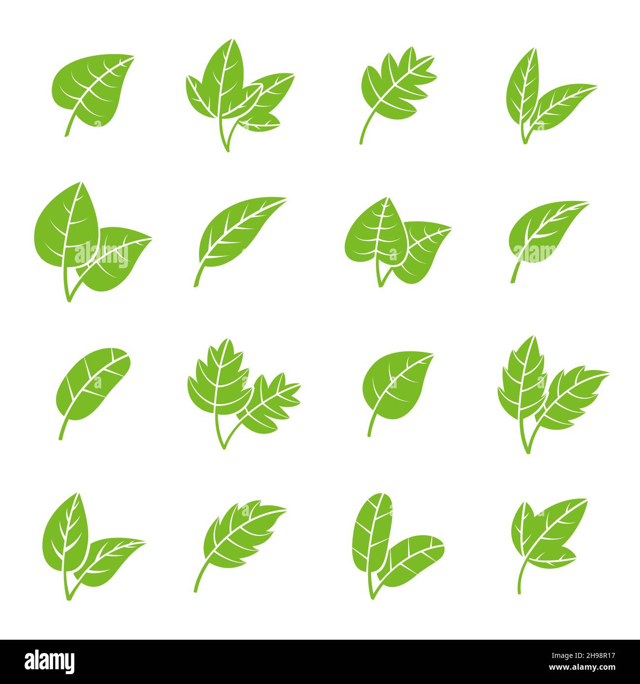 Grüne Öko-Blätter. Apothekenblatt-Logo, frische Baumlaubelemente. Natürliche Bio-Ikonen, isolierte Minztee-Pflanzen. Pflanzliche organische jüngsten Vektor Stock Vektor