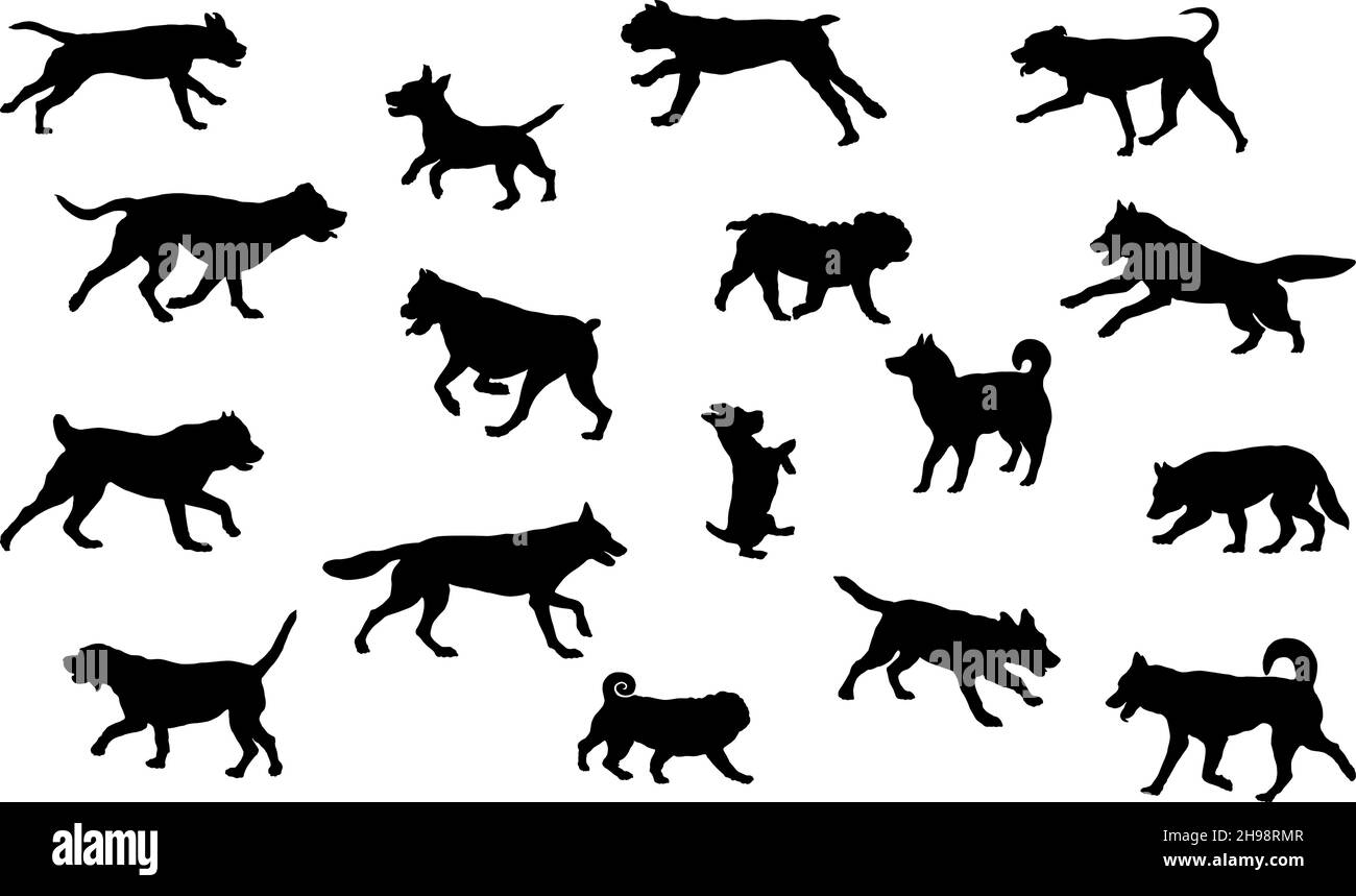 Gruppe von Hunden verschiedenen Rassen. Schwarze Hundehüsse. Laufen, Stehen, Gehen, springende Hunde. Isoliert auf weißem Hintergrund. Haustiere. Vektor. Stock Vektor