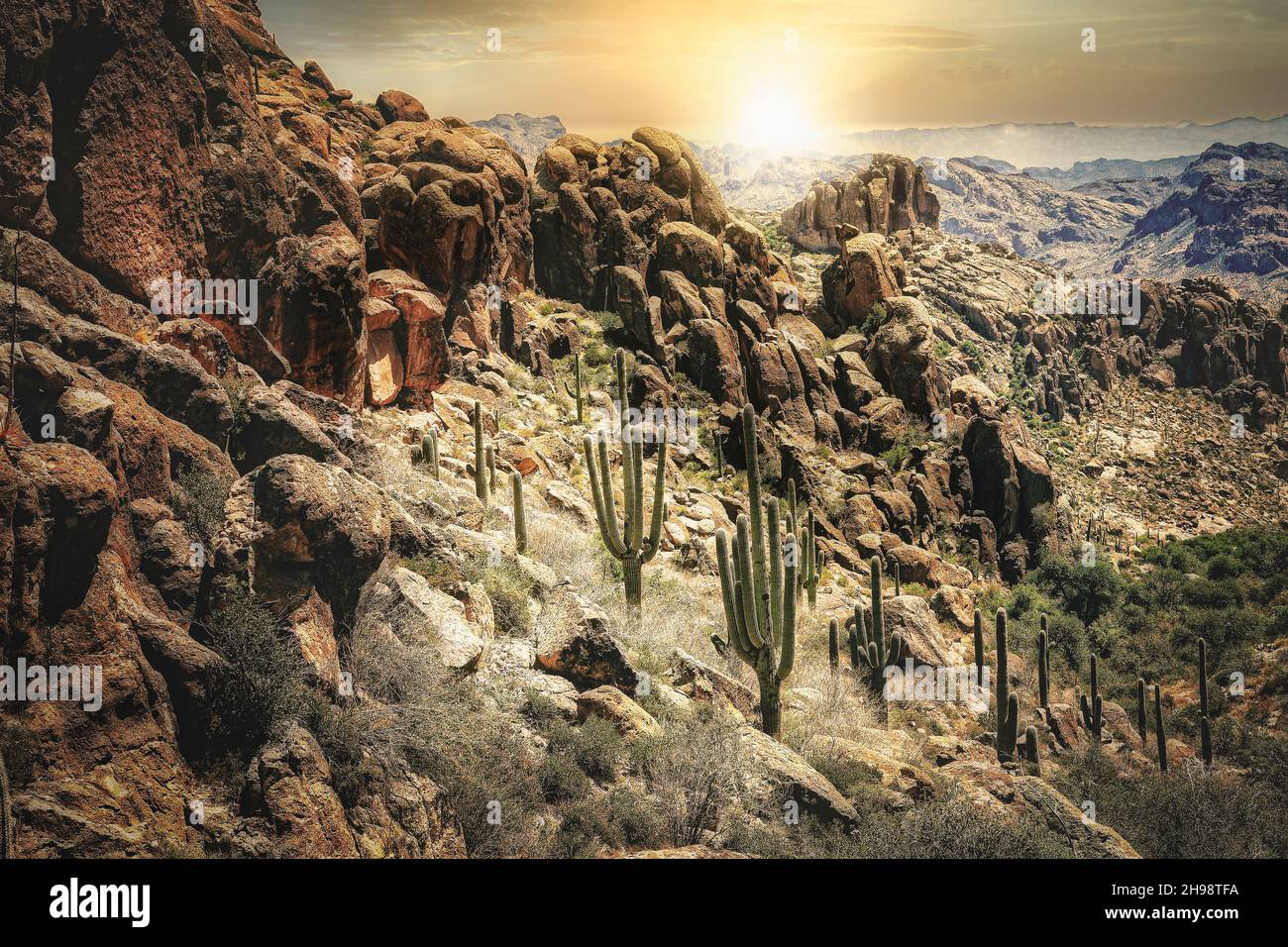 Sonnenaufgang in den Superstition Mountains östlich von Phoenix in der Sonoran Wüste von Arizona. Stockfoto