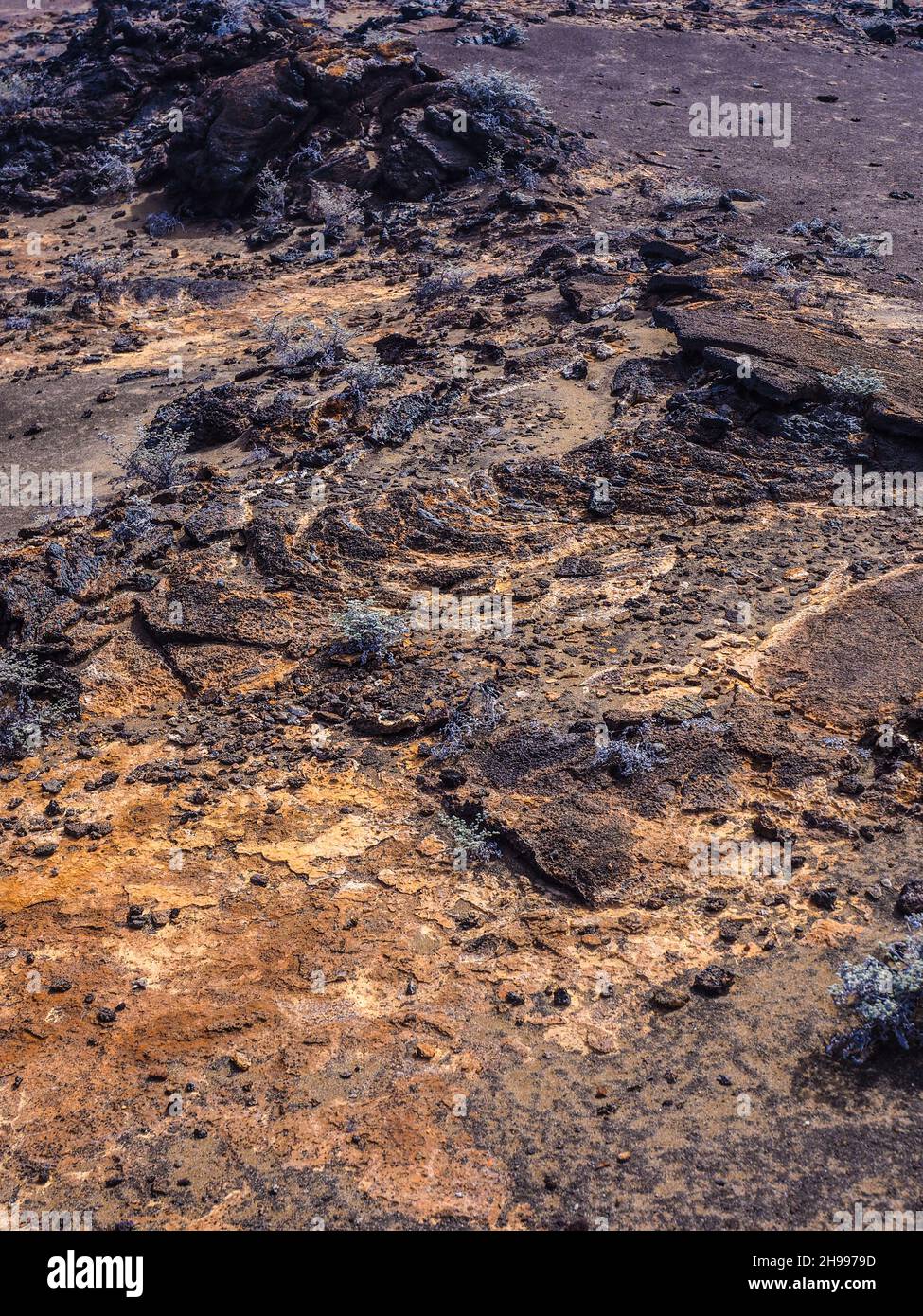 Lavagestein. Lavamuster auf den Galapagos-Inseln. Stockfoto