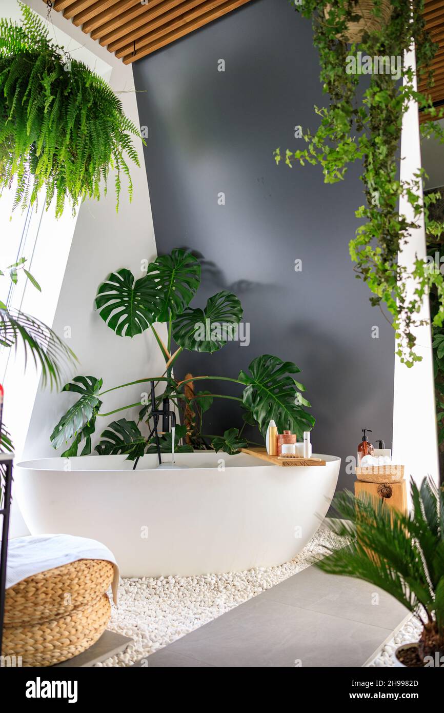 Tropisch badezimmer -Fotos und -Bildmaterial in hoher Auflösung – Alamy