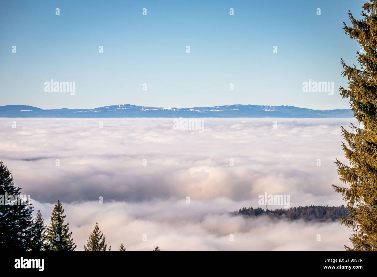 Verschließen von Inversion, Bergen und Bäumen. Hintergrundbild von niedrigen Wolken in Bergen. Winter alpine Landschaft in der Schweiz. Stockfoto