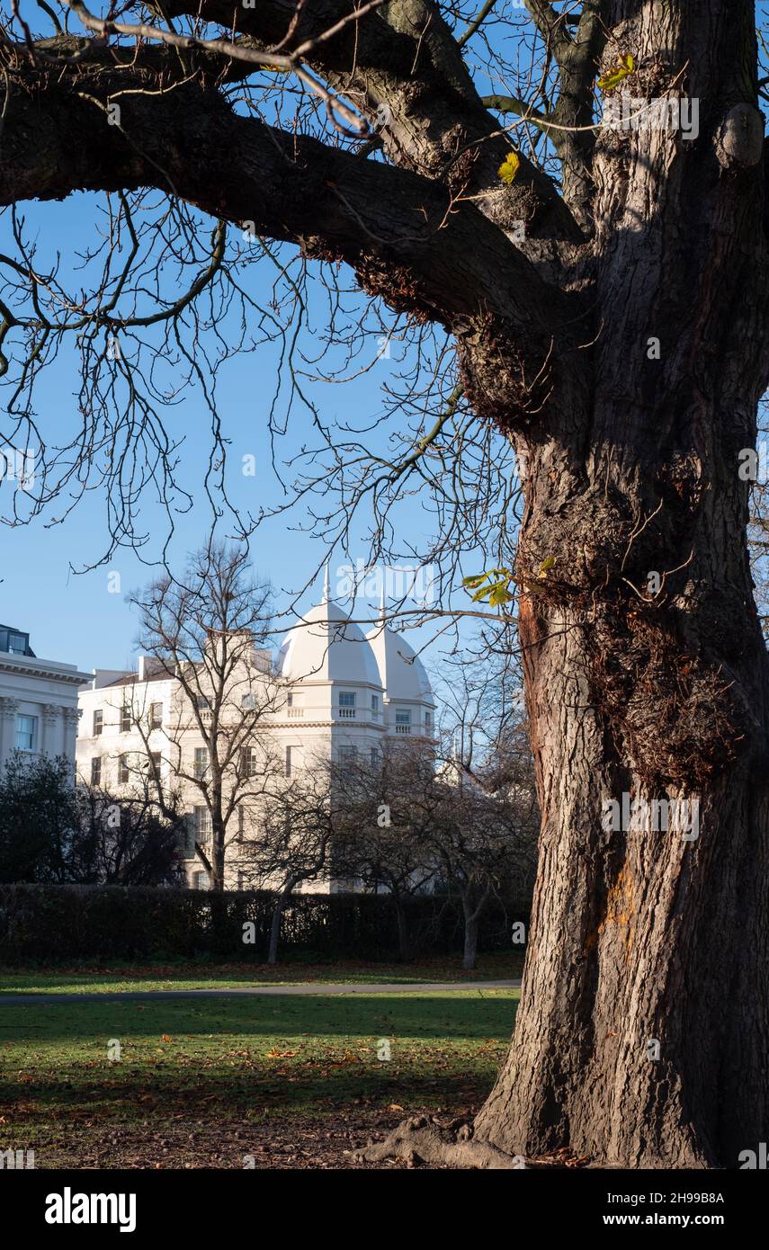 Blick auf Bäume im Regent's Park in London, fotografiert an einem kalten, klaren Wintertag. Nash Terrassen mit ihren ikonischen weiß gestrichenen Gebäuden in der di Stockfoto