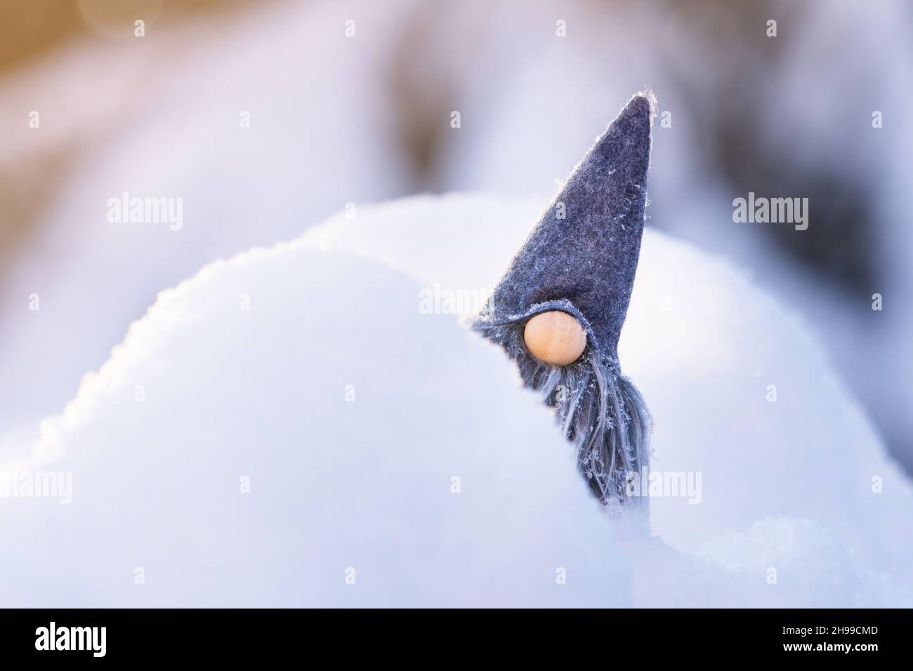 Niedlicher grauer bärtiger Gnom im Neuschnee vor Bokeh-Hintergrund, der von der niedrigen Winternesonne beleuchtet wird. Stockfoto