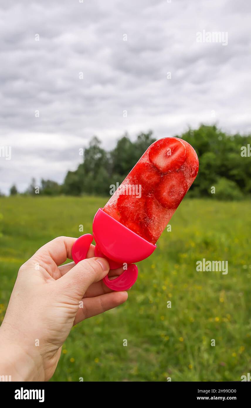 Hand hält Erdbeer-Eis-Kegel auf Sommer Natur Hintergrund in warmen sonnigen Tag. Hausgemachtes Dessert mit frischem Obst. Stockfoto