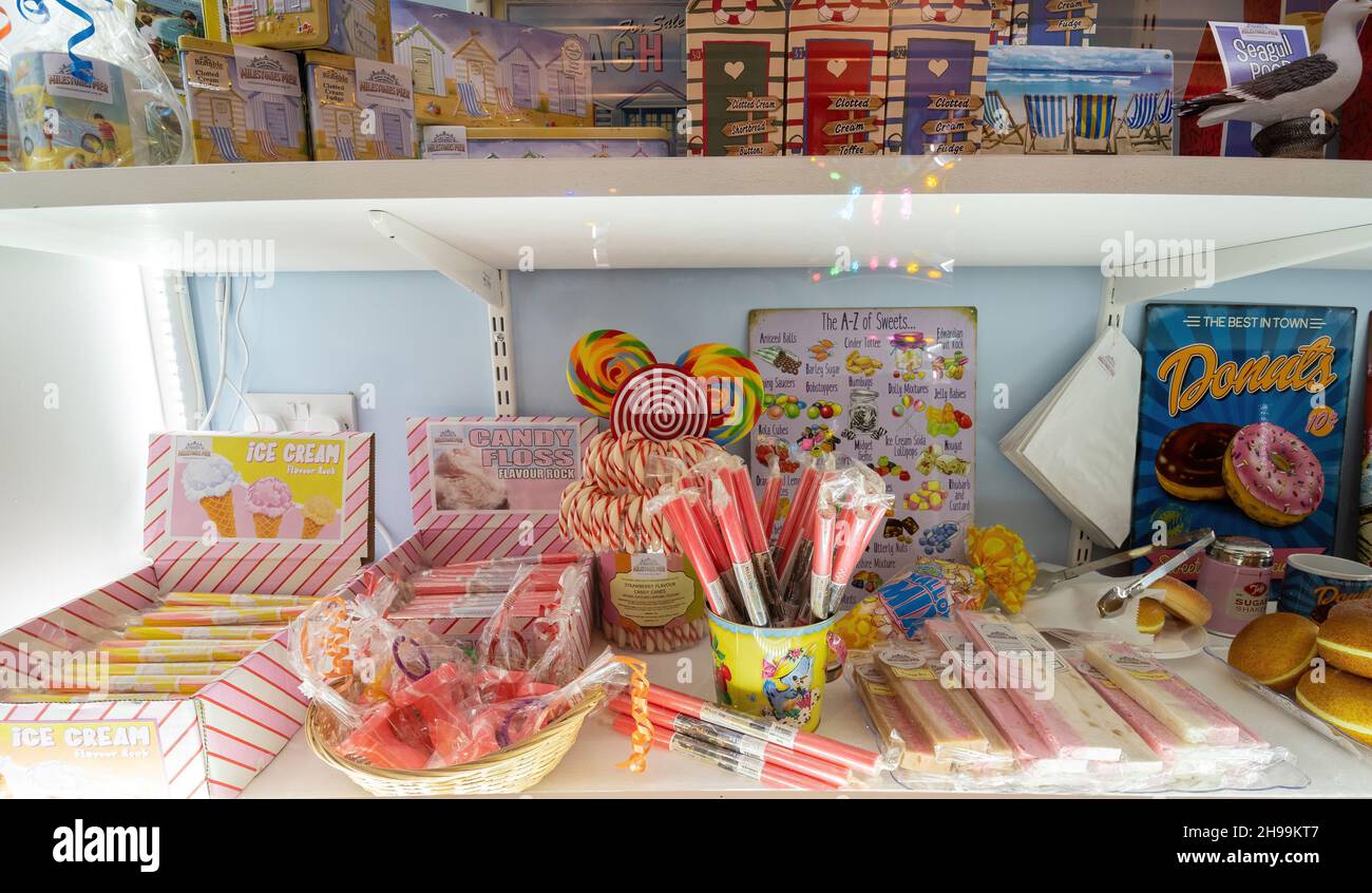 Ausstellung von Felsen am Meer und Souvenirs im Milestones Living History Museum in Basingstoke, Hampshire, England, Großbritannien Stockfoto