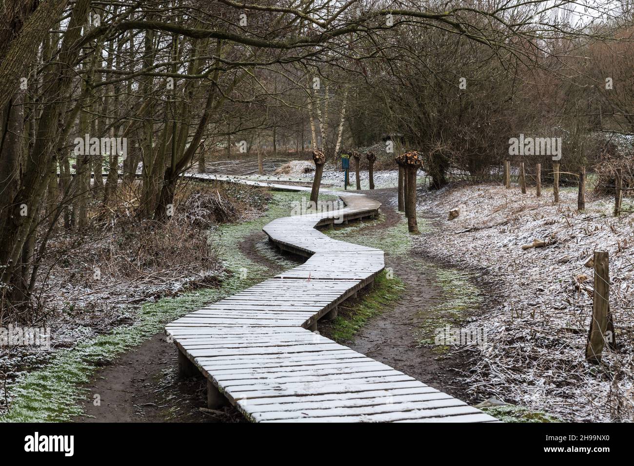 Malerische Aussicht über eine hölzerne Weg durch die Brüssel Feuchtgebiete, bedeckt mit Schnee Stockfoto