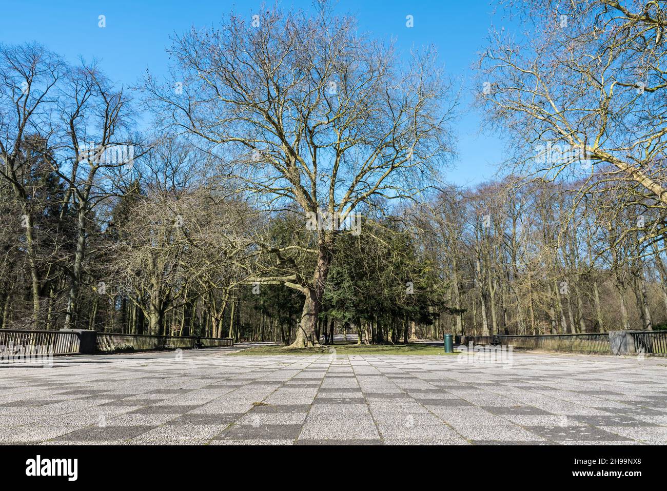 Panoramablick über den Osseghem Park im Frühjahr, Laeken, Brüssel, Belgien Stockfoto