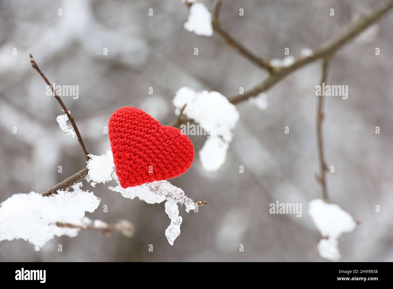 Gestricktes rotes Herz im Schnee auf einem Baumzweig im Winterwald. Valentinskarte, Symbole der Liebe, Hintergrund für Weihnachtsfeier Stockfoto