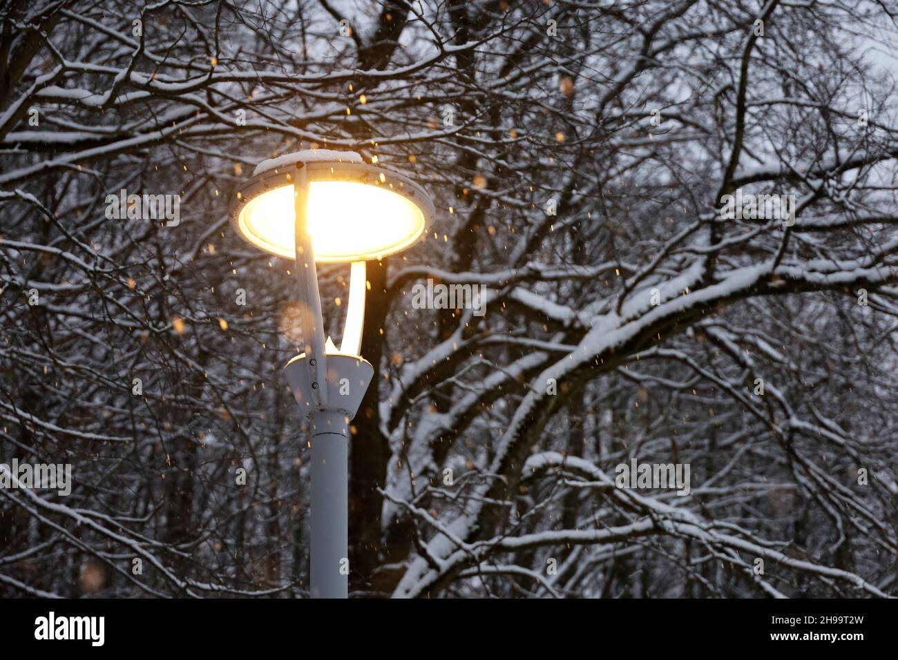 Glühende LED-Lampe während des Schnees auf Winterbäumen Hintergrund. Elektrische Beleuchtung im Abendpark, energiesparende Laterne auf der Straße Stockfoto
