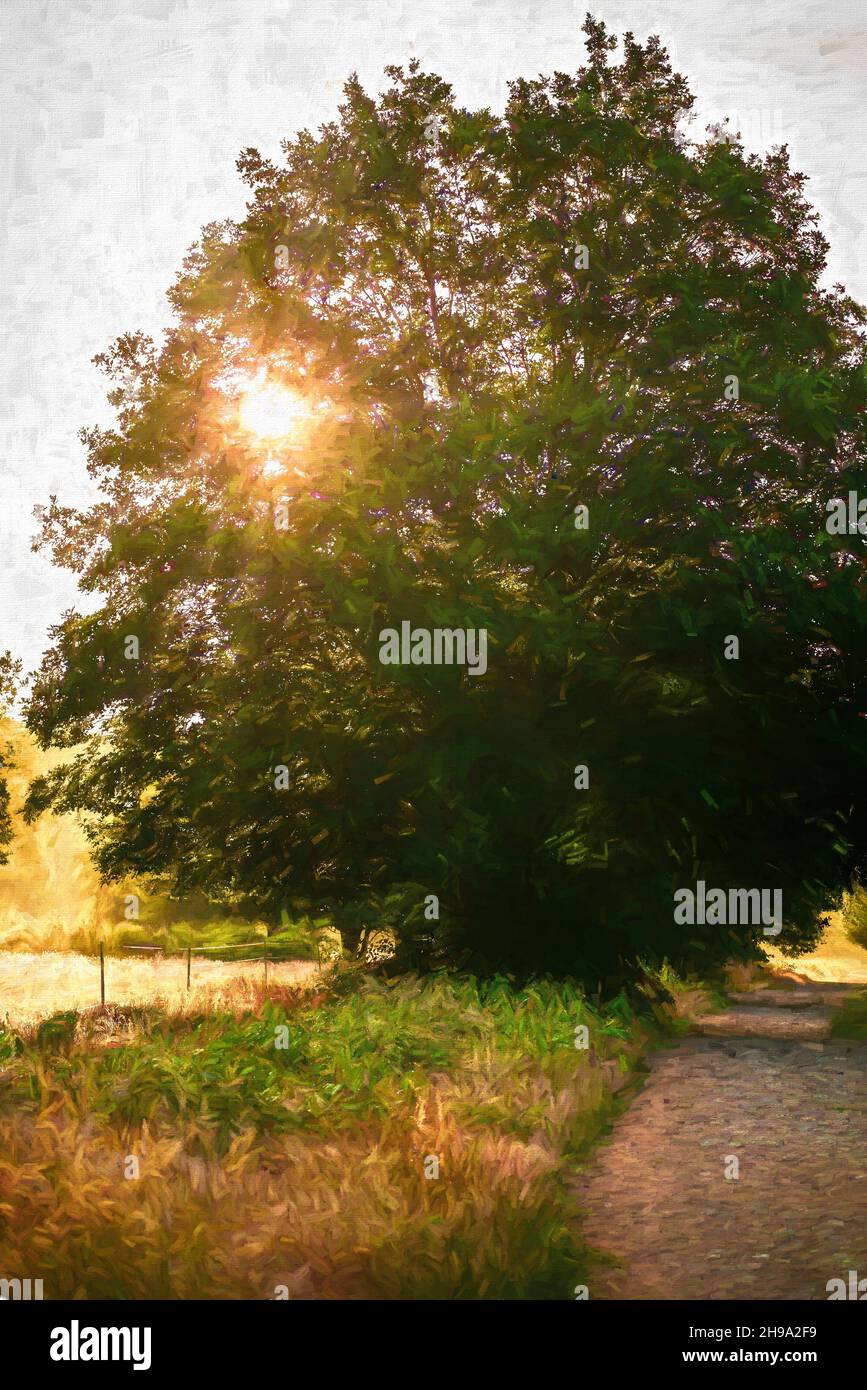 Die Sonne strahlt durch Äste eines Baumes. Landschaft bei Sonnenaufgang. Mehrfarbige Texturmalerei Stockfoto