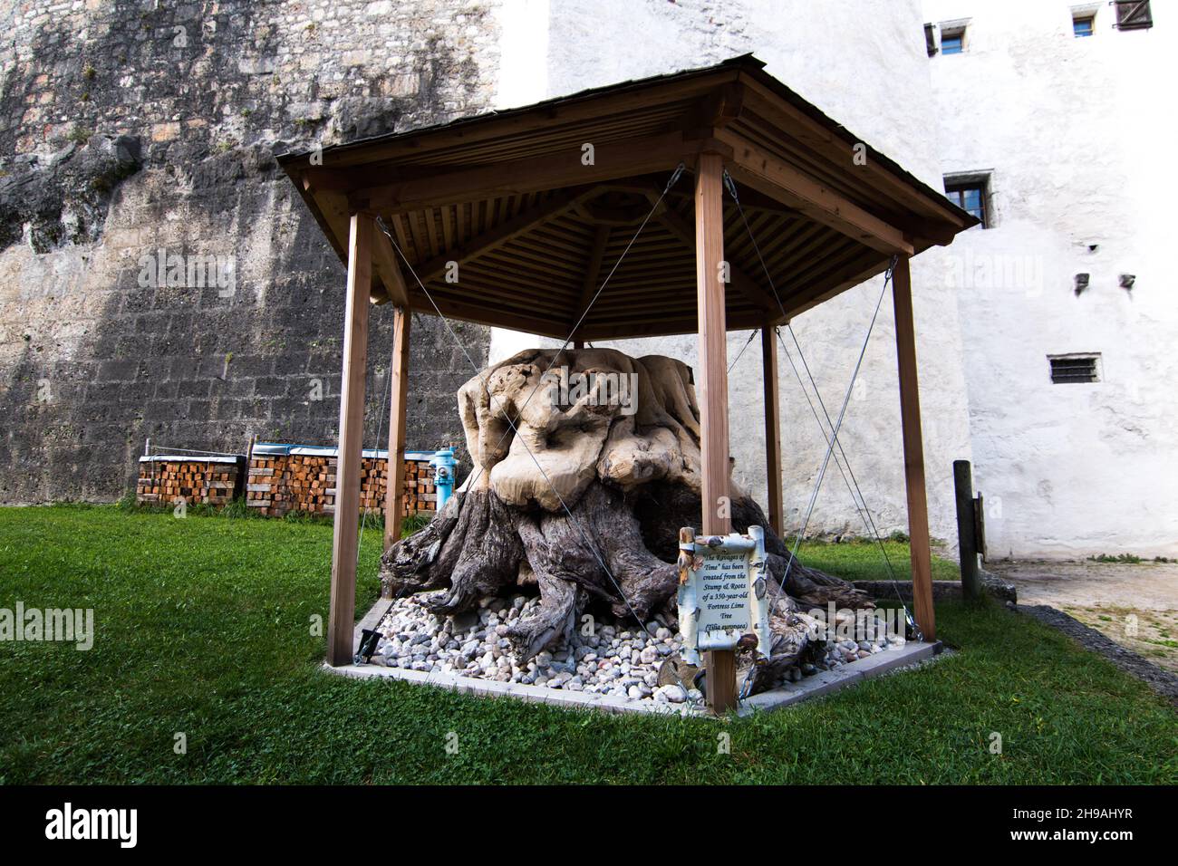 Die Verwüstungen des Zeitbaums, Festung Hohensalzburg, Salzburg, Österreich Stockfoto
